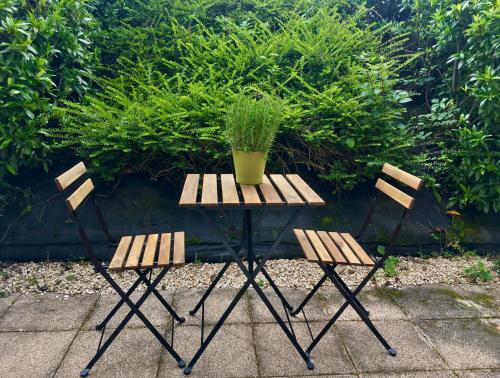 Saint-Priest-en-JarezにあるStudio en face Hopital Nord avec terrasseの鉢植えのテーブルと椅子2脚
