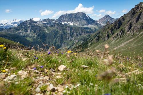 a field of grass with mountains in the background at Hotel La Vetta in San Domenico