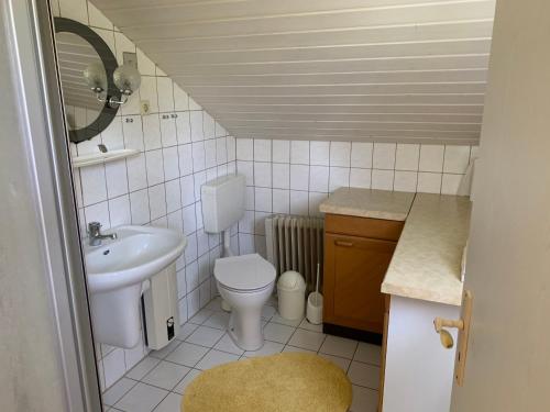 Un baño pequeño con inodoro y lavabo. en Bad Saarow Ferienhaus Am Hafen, en Bad Saarow