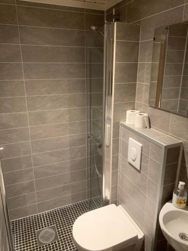 a bathroom with a shower and a toilet and a sink at Skei Apartments in Svingvoll
