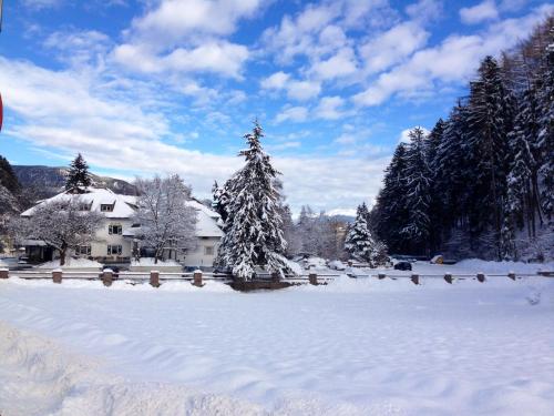 a yard covered in snow with a house and trees at Sporthotel Spoegler in Collalbo
