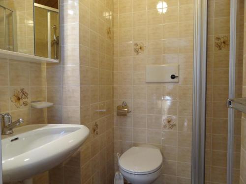 a bathroom with a toilet and a sink at Appartements Loisachpromenade in Ehrwald