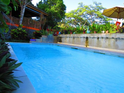 a large blue swimming pool with an umbrella at Manggis Garden Dive Resort in Candidasa