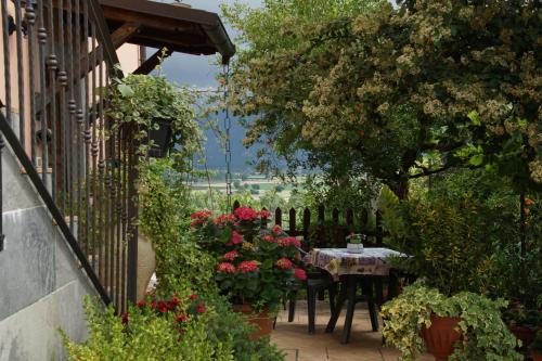 Κήπος έξω από το Agriturismo L'Ulivo in Fiore