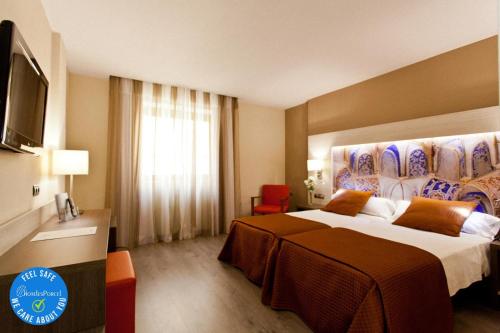 a hotel room with a large bed and a television at Porcel Sabica in Granada