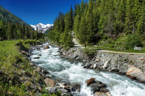 a river in the middle of a mountain at Bellevue Hotel & SPA in Cogne