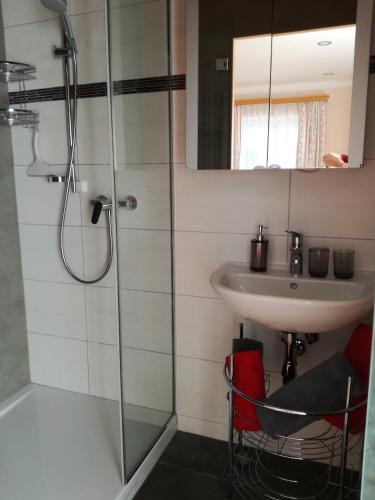 a bathroom with a shower and a sink at Bio Bauernhof Moas in Lunz am See