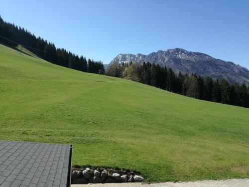 a grassy hill with a field and mountains in the background at Bio Bauernhof Moas in Lunz am See