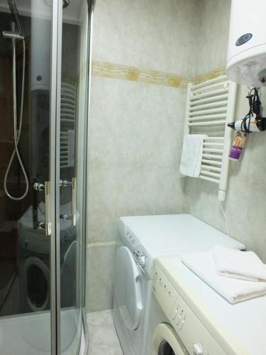 a bathroom with a washing machine and a shower at Apartment Temple in Podgorica