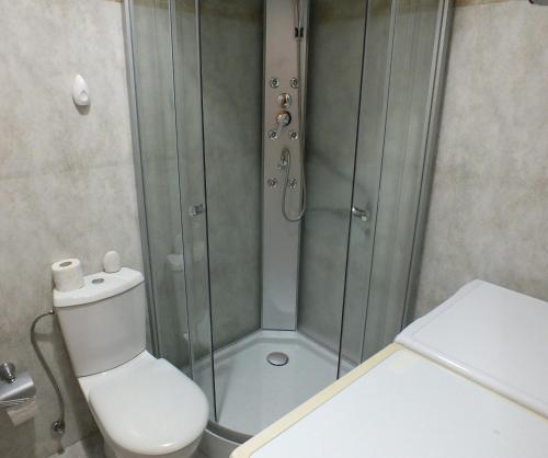 a shower with a toilet and a glass shower stall at Apartment Temple in Podgorica