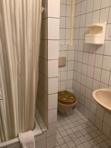 a bathroom with a toilet and a shower at Gasthaus Glück auf garni in Häuslingen
