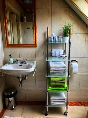 a bathroom with a sink and a shelf with towels at B&B Zandhuizen in Zandhuizen