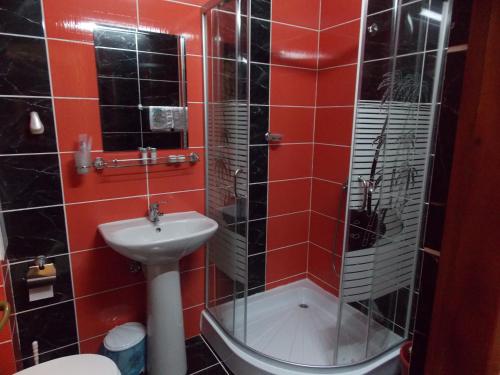 a bathroom with a sink and a toilet and a shower at Pensiunea Mara in Deseşti