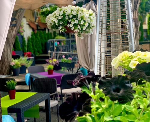 Сад в Hotel Fado