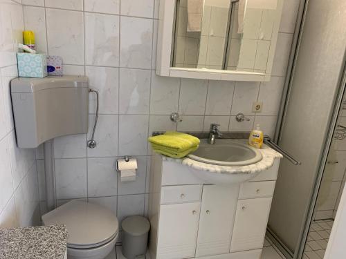 a bathroom with a sink and a toilet and a mirror at Ferienwohnung Bünger in Essel