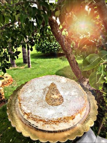 a cake sitting on a table in front of a tree at B&B Villa Mamma Grazia in San Vito dei Normanni