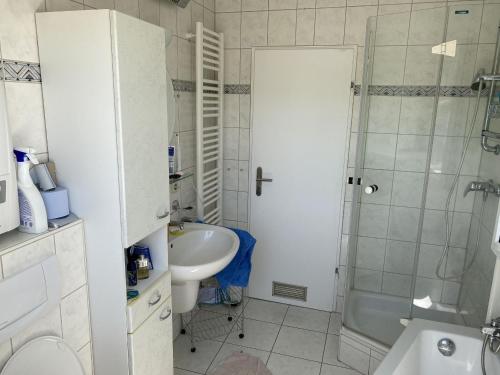 a bathroom with a shower and a sink and a toilet at Haus Gutach in Schönwald