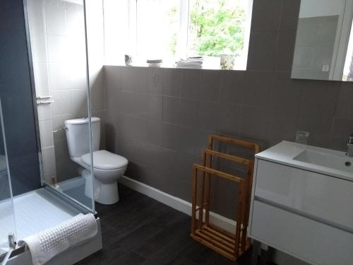 une salle de bain avec toilettes, lavabo et fenêtre dans l'établissement Domaine du Haul, à Catteville