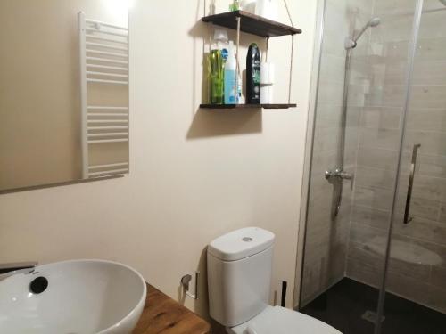 een badkamer met een toilet, een wastafel en een douche bij Habitacion tienda de felipe EL DESPACHO in Pontones
