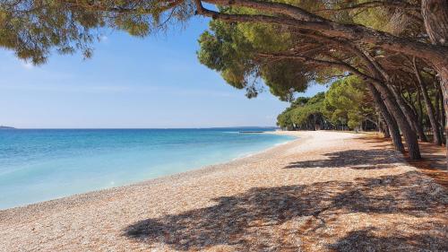 Φυσικό τοπίο κοντά σε αυτή η παραθεριστική κατοικία
