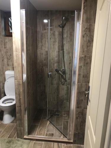 a bathroom with a shower with a toilet at Berger Pince és vendégház in Császártöltés
