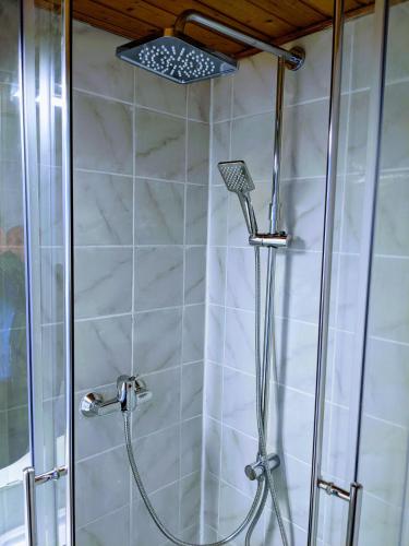 a shower with a glass shower head in a bathroom at 108 Studio Apartment Alexandria 30m2 in Klagenfurt