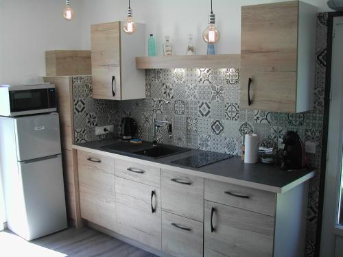 une cuisine avec un évier et un réfrigérateur dans l'établissement le gite de léonard, à Castelnau-dʼEstrétefonds