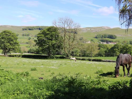 two horses grazing in a field of grass at Low Bank in Lancaster