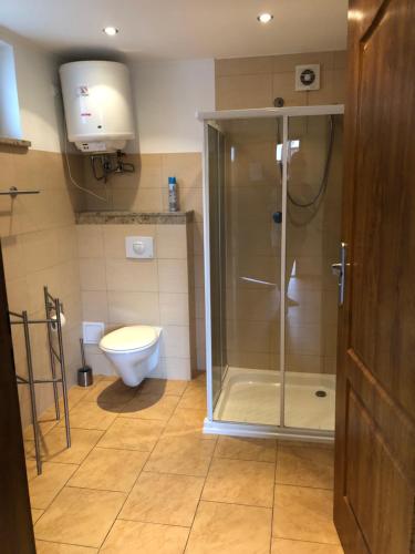 a bathroom with a shower and a toilet at Domki DRAGON Łeba in Łeba