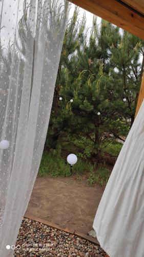 a window with a white curtain and a tree at Kaszuby wczasy u Danusi sauna i bania in Lipusz