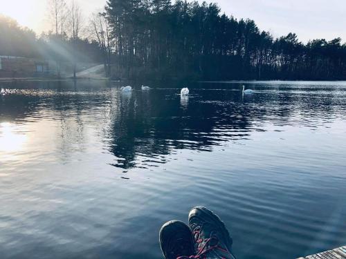 a person sitting on the edge of a body of water at Kaszuby wczasy u Danusi sauna i bania in Lipusz