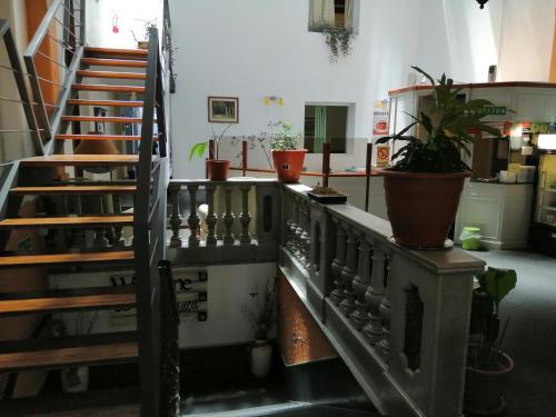 a room with stairs and potted plants at Hotel Casablanca Montevideo in Montevideo