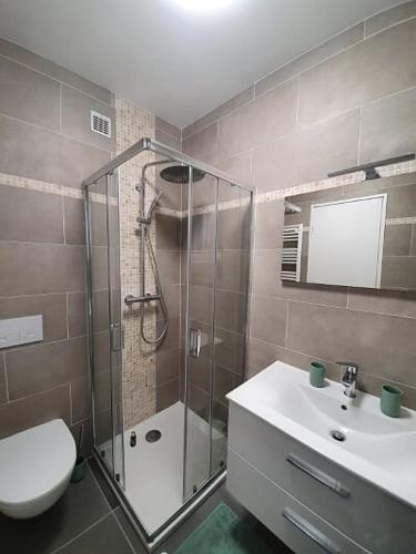une salle de bain avec une douche, des toilettes et un lavabo dans l'établissement APPARTEMENT TERRASSE VUE MER Sea view terrace apartment 