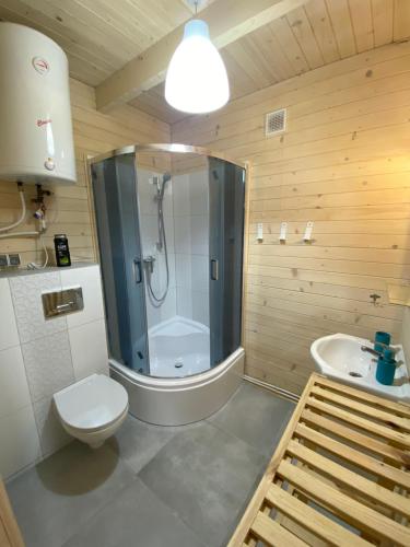a bathroom with a shower and a toilet and a sink at Kapitanskie Domki in Trzęsacz