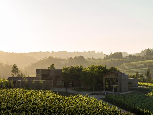 a rendering of a house in a vineyard at Monverde - Wine Experience Hotel - by Unlock Hotels in Amarante