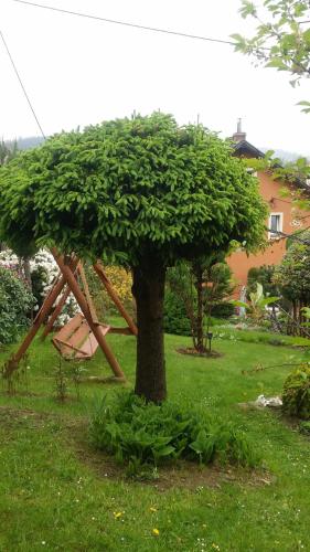 Vonkajšia záhrada v ubytovaní Noclegi U Andrzeja