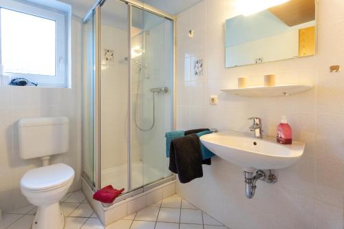 a bathroom with a toilet and a sink and a shower at Rhododendronhof in Behringen