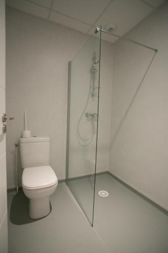 a bathroom with a toilet and a glass shower stall at Motel des Landes in Bénesse-Maremne