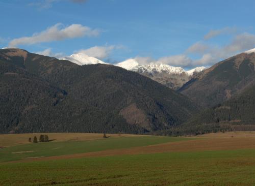 a green field with mountains in the background at ADEMI Apartments in Smrečany