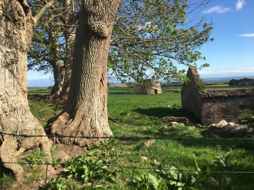 Gallery image of Buckton Farmhouse in Belford