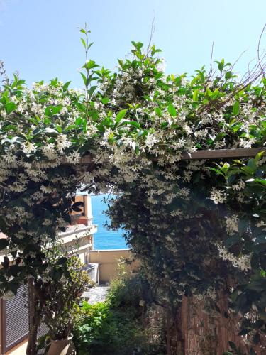 Φυσικό τοπίο κοντά σε αυτή η παραθεριστική κατοικία