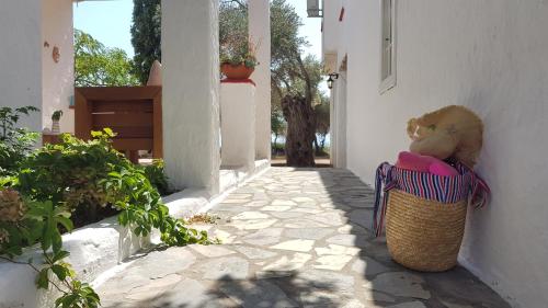 Κήπος έξω από το Loukoulos' maisonette