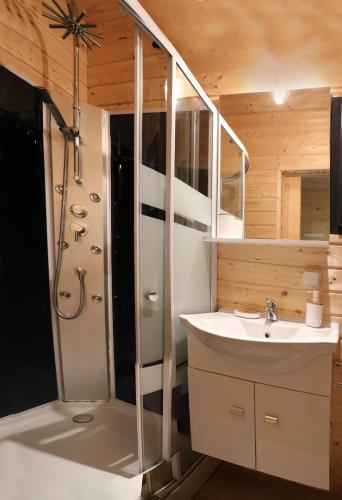 une salle de bain avec une douche, un lavabo et un miroir dans l'établissement Au Coeur du Bien-Etre, chalet avec piscine chauffée et couverte, SPA, sauna, massages, à Monteaux
