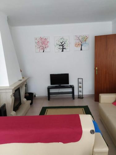 a living room with a bed and a tv at Quinta do Cabeço in Figueiró dos Vinhos