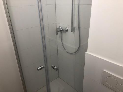a shower in a bathroom with a glass door at Wallnuss in Alzenau in Unterfranken