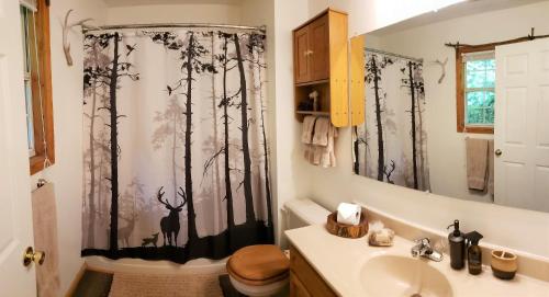 Phòng tắm tại Ridge Retreat at Hearthstone Cabins and Camping - Pet Friendly