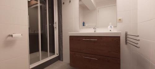 La salle de bains est pourvue d'un lavabo et d'une douche. dans l'établissement Seagarden by Valdemosa, au Coq