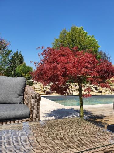 Κήπος έξω από το Le Clos Réaud