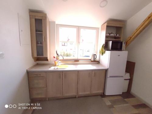 Kuchyň nebo kuchyňský kout v ubytování Apartmány Opolany