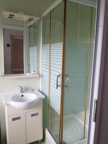 a bathroom with a glass shower and a sink at Pensiunea Agroturistică Piscul Soarelui in Cîmpulung